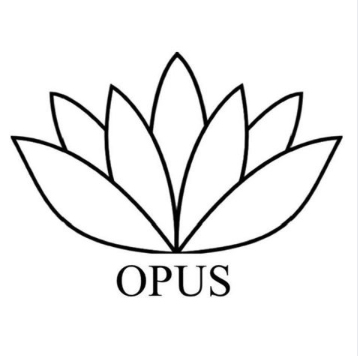 Your Invitation to the Next Big Meet Up with OPUS!